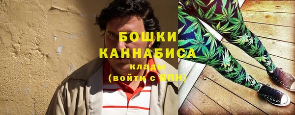молекула духа Волоколамск